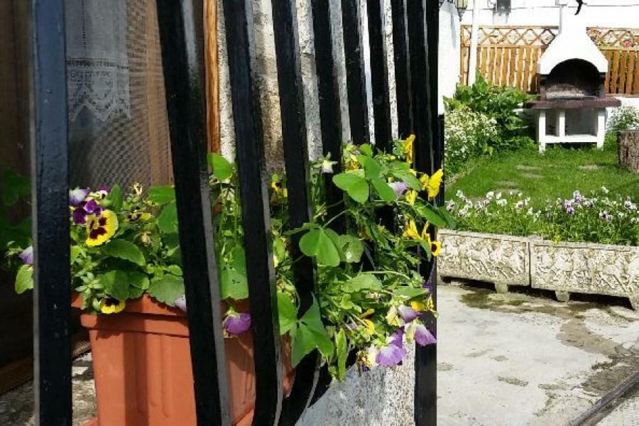 Casa Rural Zubiarena Satrustegui Екстериор снимка